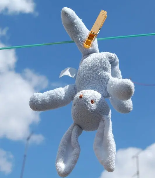 dry the toys thoroughly