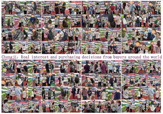 chengji's buyers from all over the world