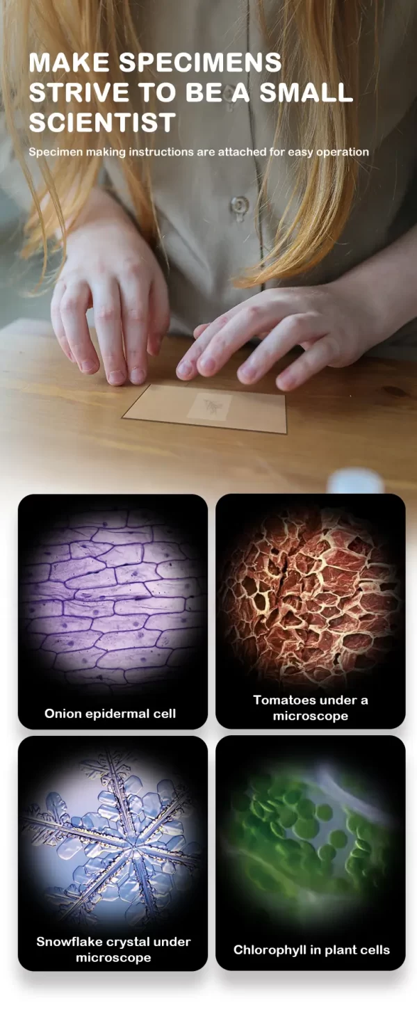 Wholesale Scientific Microscope Set - Toys in Bulk Supply