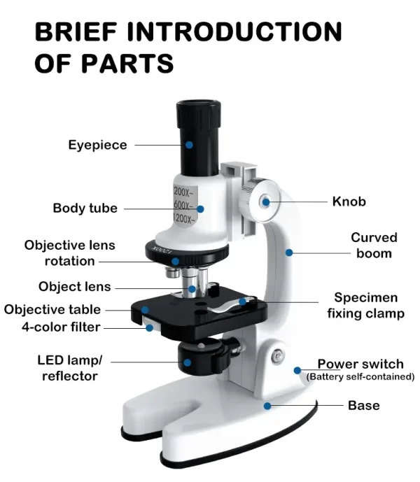 Wholesale Scientific Microscope Set - Toys in Bulk Supply