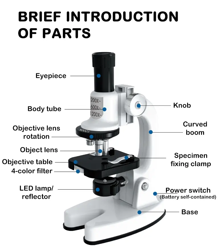 Wholesale Scientific Microscope Set - Toys in Bulk Supply – Image 9