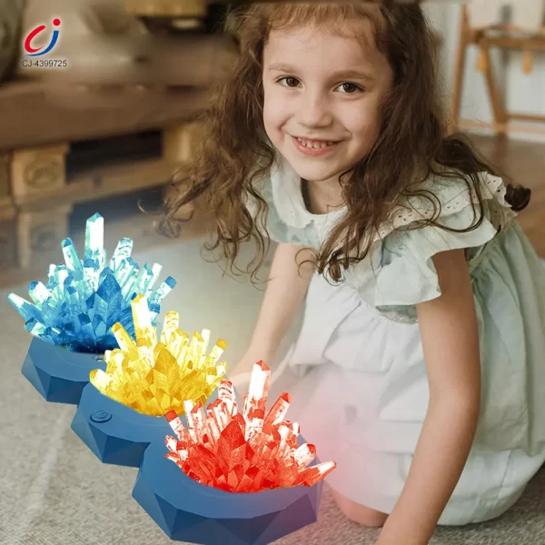 wholesale Crystal planting (4)