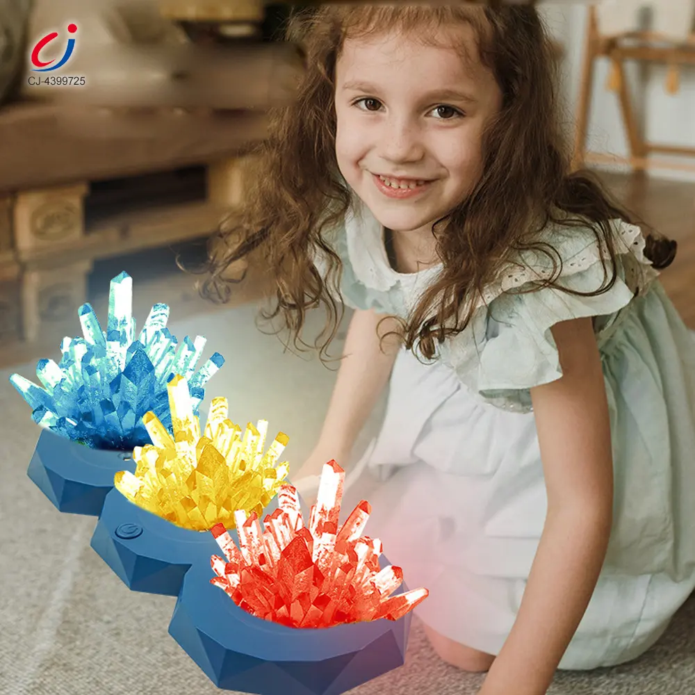 wholesale Crystal planting (4)