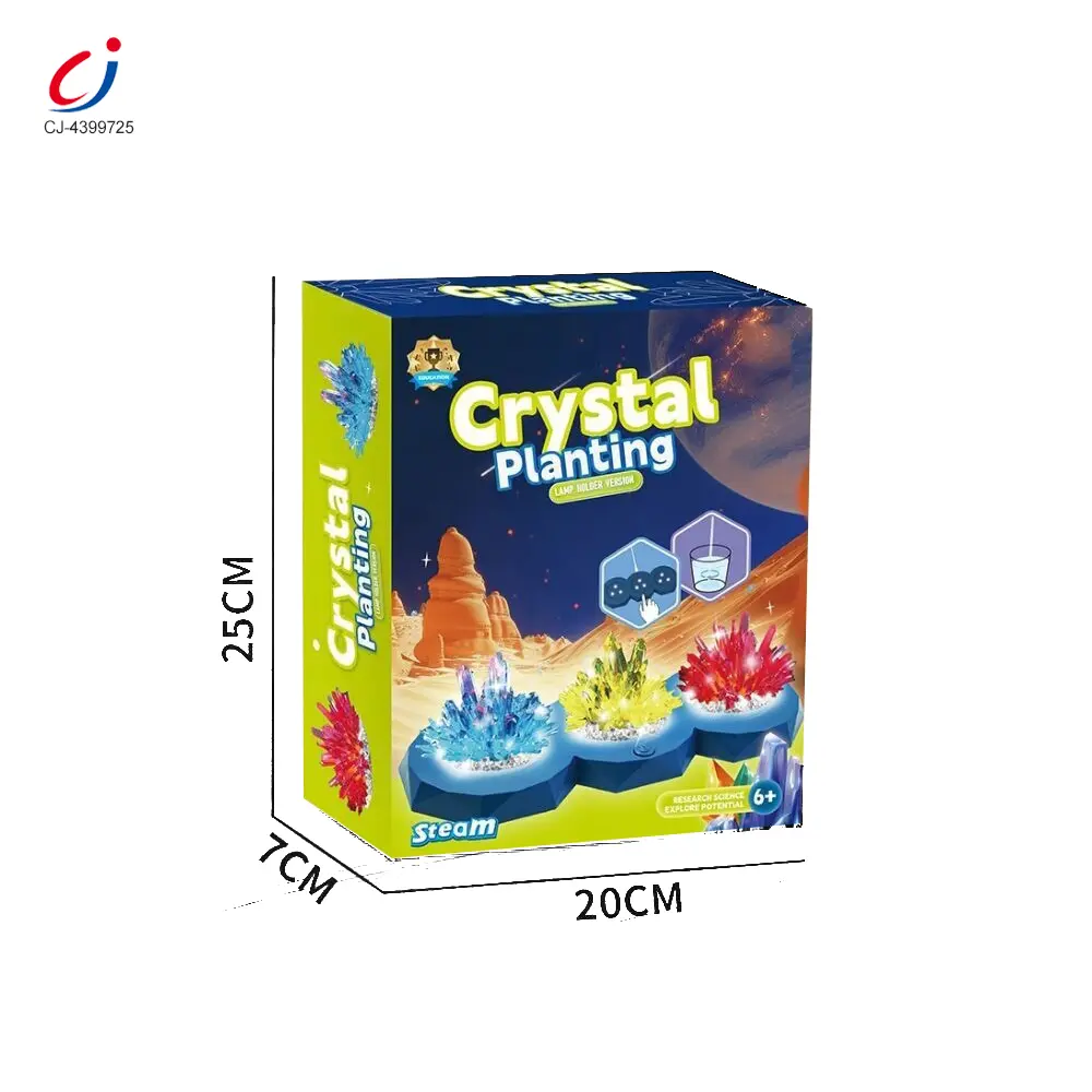 wholesale Crystal planting (6)