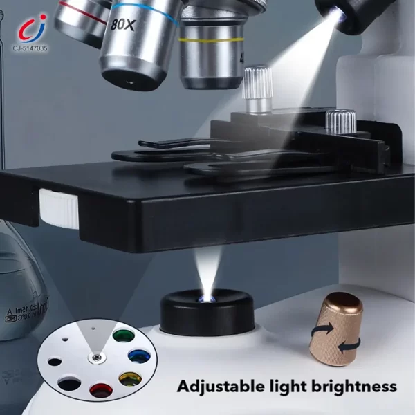 Wholesale Binocular Microscope Toy, Suitable For Teaching and Playing - Educational Toy Supplier From China