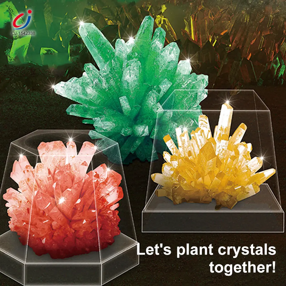 Wholesale Crystal Planting Toys for Kids - Chinese Wholesale Toy Suppliers - Image 2