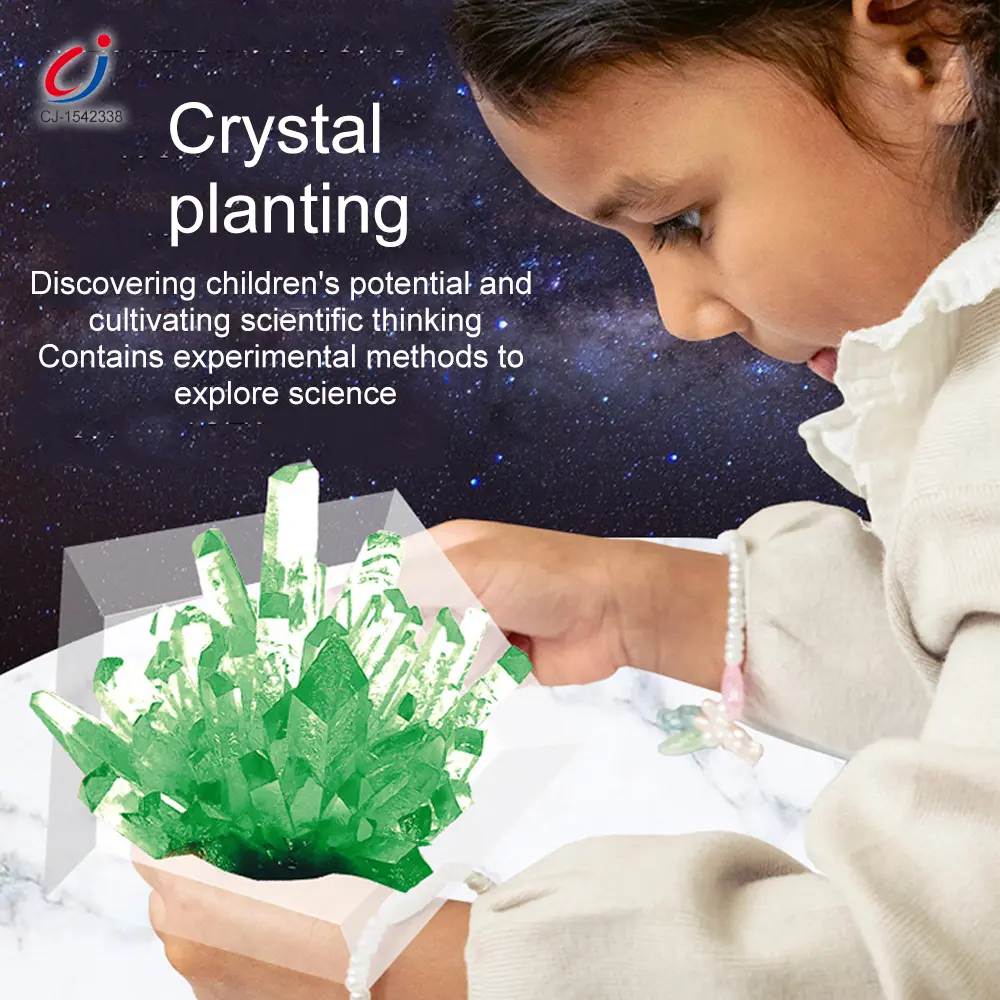 Wholesale Crystal Planting Toys for Kids - Chinese Wholesale Toy Suppliers - Image 3