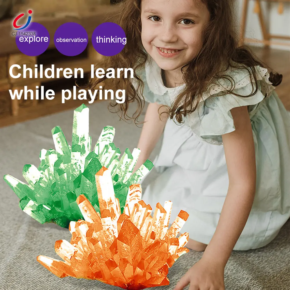 Wholesale Crystal Planting Toys for Kids - Chinese Wholesale Toy Suppliers - Image 4