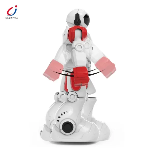 Wholesale RC Robot Toys with Coding Sequence For Kids - Robot Toy Factory Supply